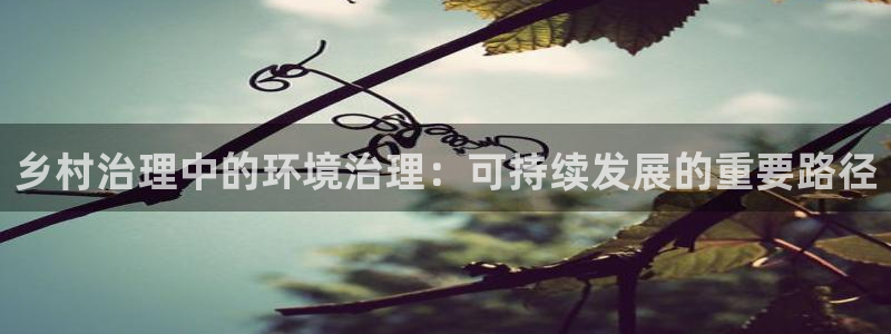凯发k8一触即发：乡村治理中的环境治理：