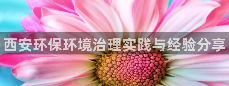 凯发官网入口首页：西安环保环境治理实践与经验分享