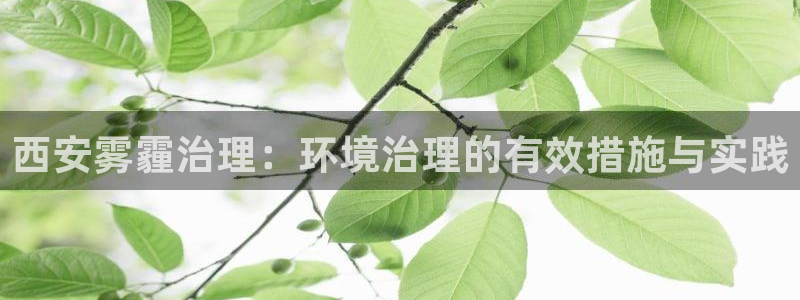 凯发k8国际手机下载：西安雾霾治理：环境治理的有效措施与实践