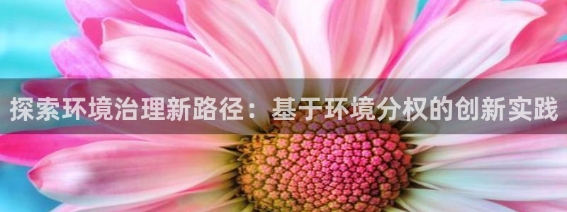 凯发k8官网下载客户端中心：探索环境治理新路径：基于环境分权的创新实践