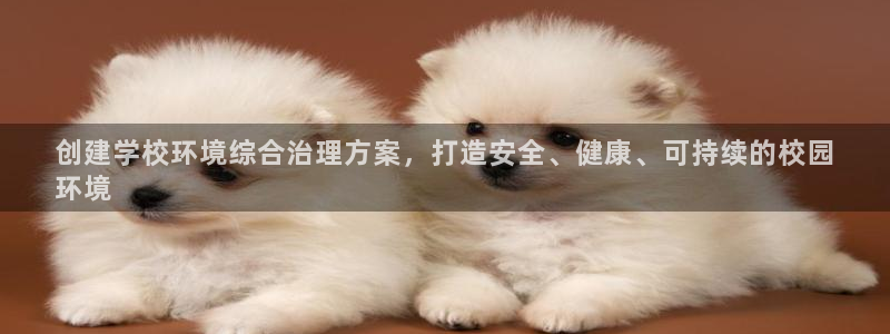 凯发k8天生赢家一触即发|创建学校环境综