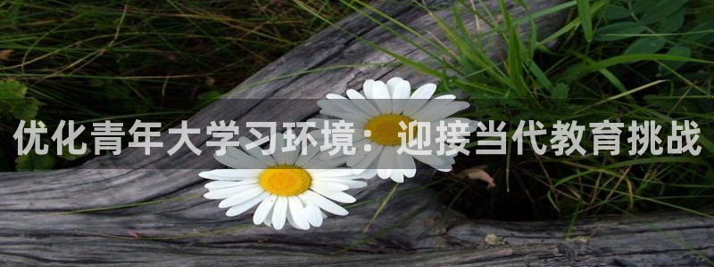 优化青年大学习环境：迎接当代教育挑战