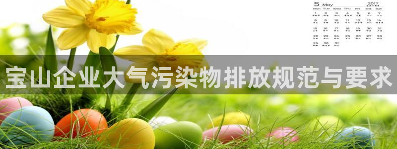 凯发k8ag旗舰厅真人平台|宝山企业大气污染物排放规范与要求