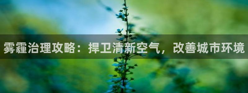 凯发k8ag旗舰厅真人平台|雾霾治理攻略