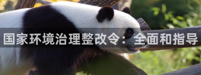 凯发k8国际首页登录