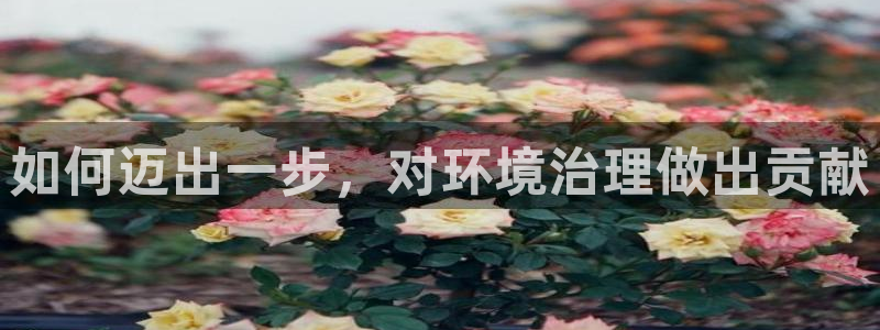 凯发官网入口首页|如何迈出一步，对环境治理做出贡献