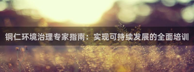 凯发k8官方旗舰店app|铜仁环境治理专家指南：实现可持续发展的全面培训