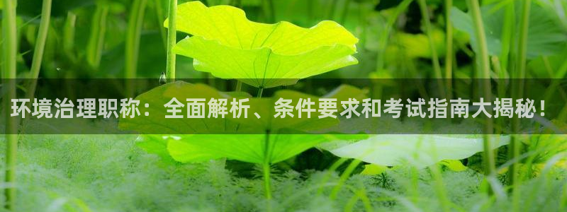 凯发k8国际(中国)官方网站·一触即发