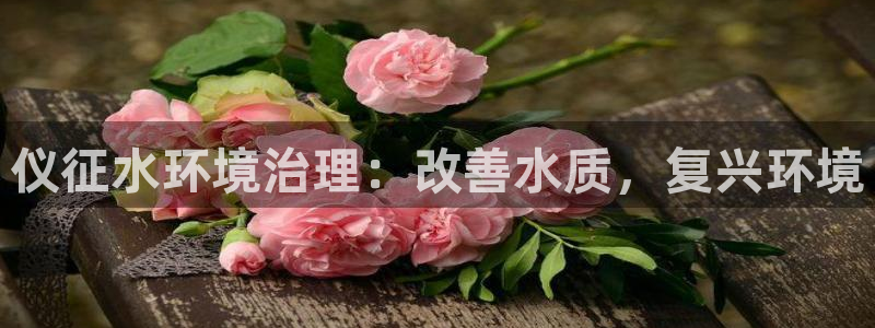 凯发k8娱乐官网手机端|仪征水环境治理：