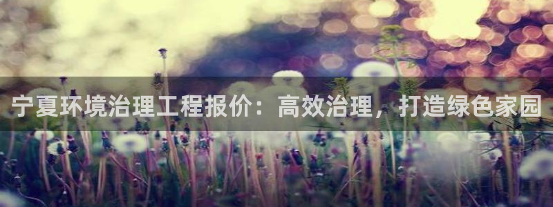 凯发k8ag旗舰厅真人平台|宁夏环境治理工程报价：高效治理，打造绿色家园